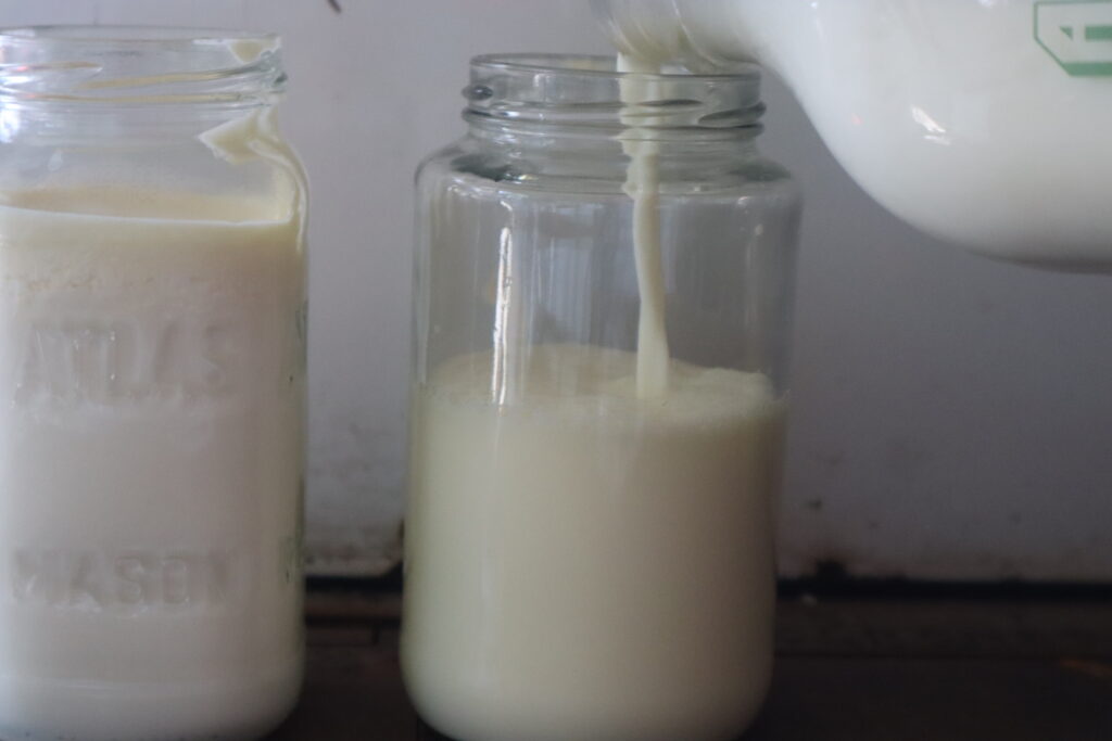 pouring milk into a jar 