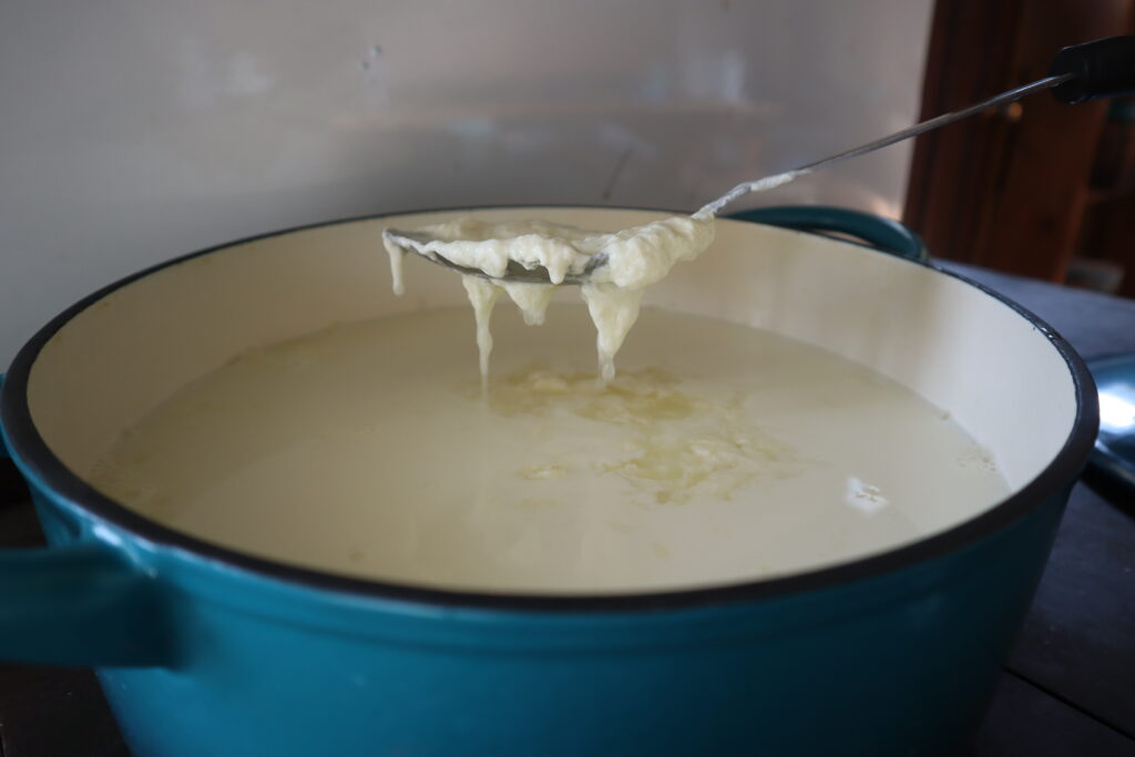 cheese separating from whey in a dutch oven pot