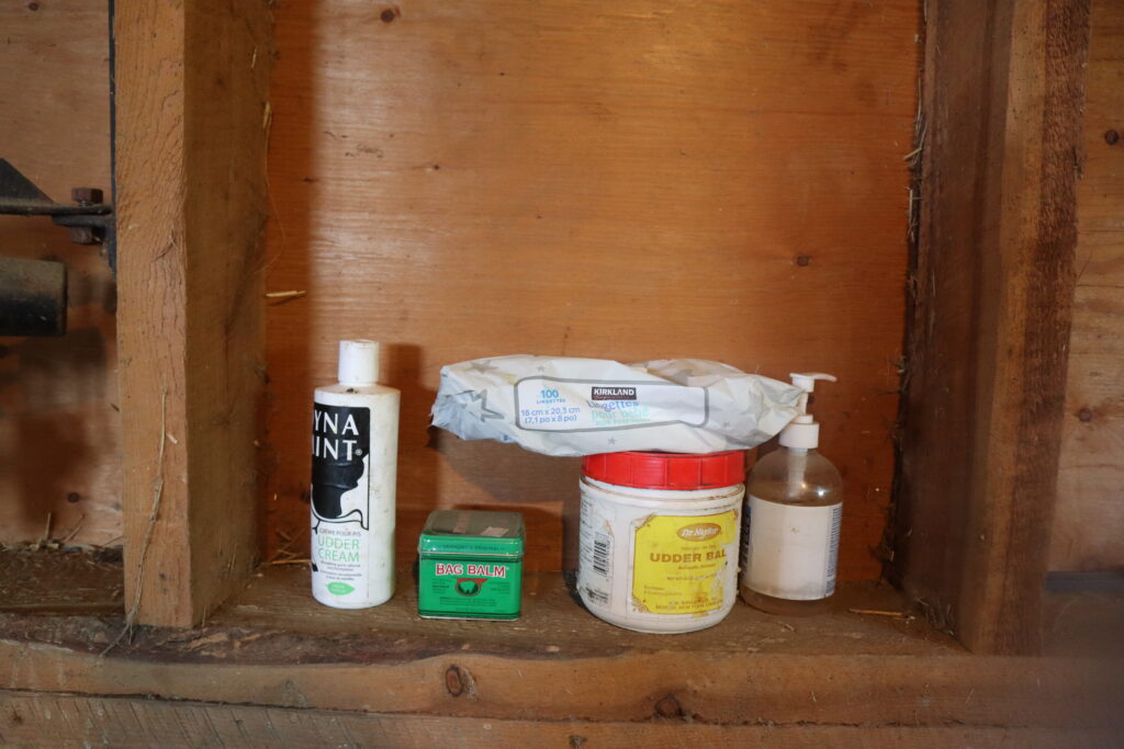 dynamint cream, udder balm, baby wipes, bag balm and hand sanitizer sitting on a shelf 
