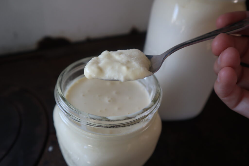 a spoon of clabber culture 