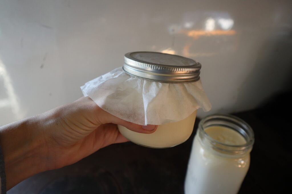 a pint jar covered with a coffee filter and a jar ring being held up 