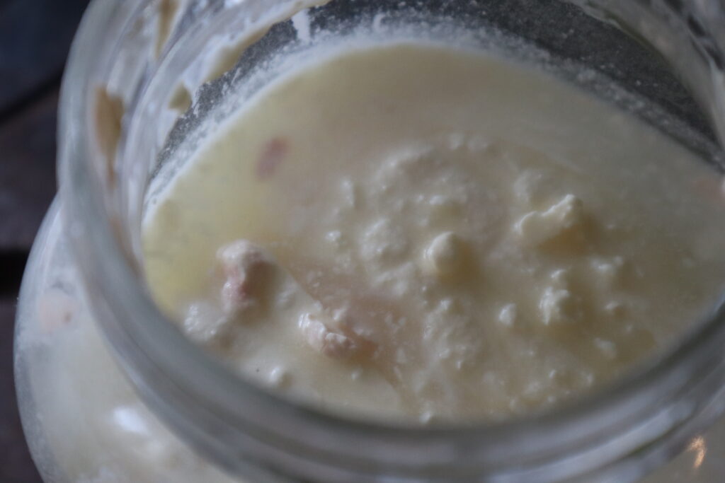 feta brine with feta floating 