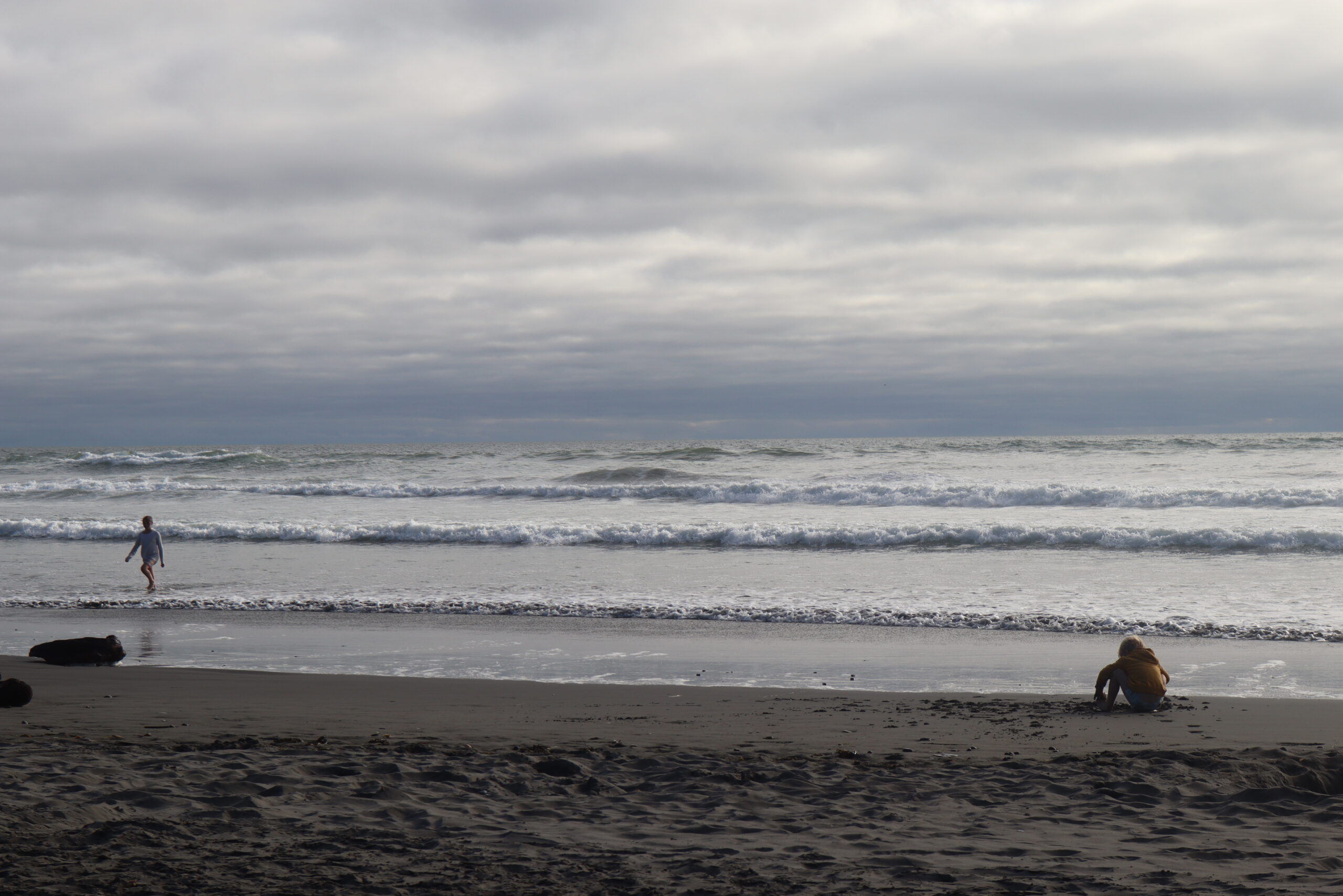 Kids playing in the waves on the beach